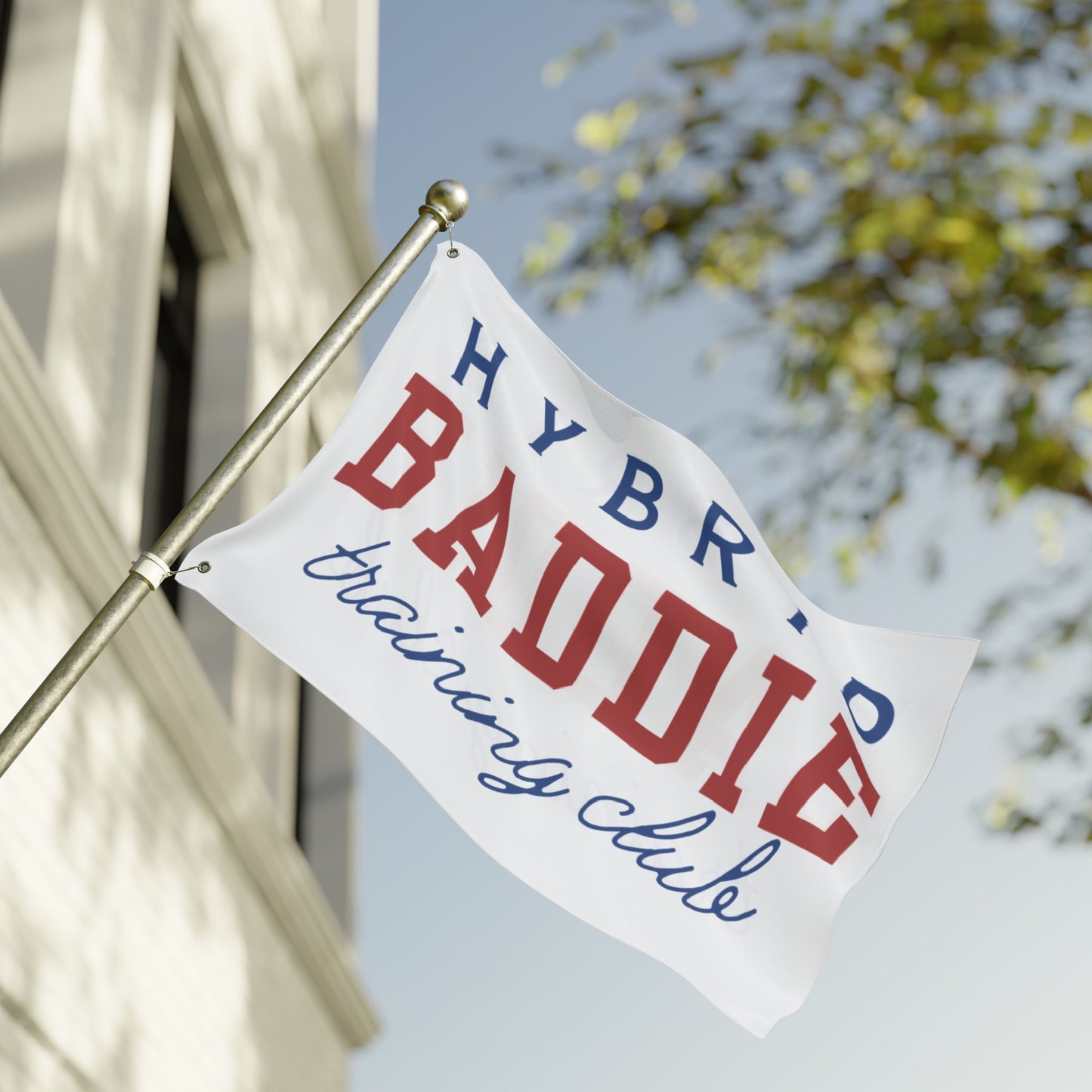 Hybrid Baddie Training Club Flag — Double-Sided Gym Banner 2026 season